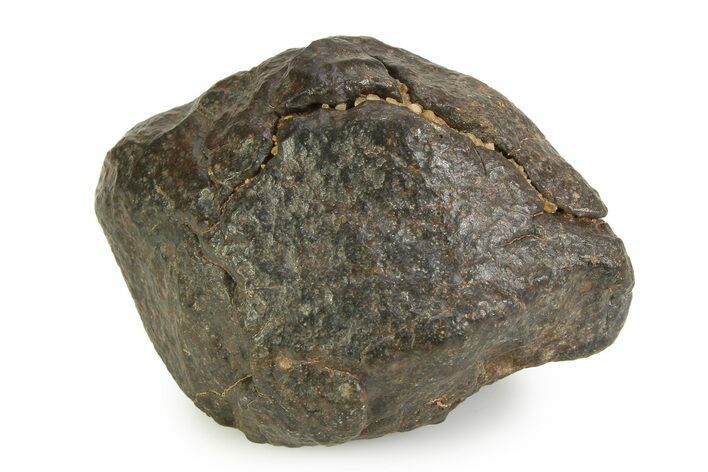 OC Chondrite Meteorite ( g) - NWA #350997